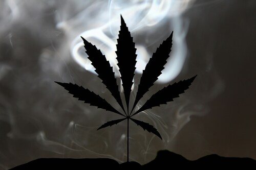 cbd